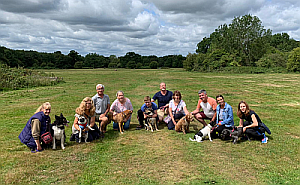 Dog walking groups in Horsham