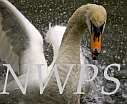 Natural World Photographic Society in Horsham, West Sussex