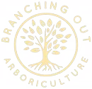 Branching Out Arboriculture, Horsham, West Sussex